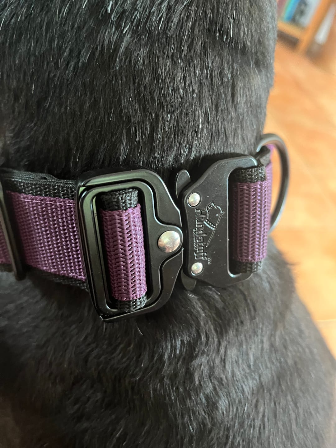Customer photo review of Extreme Buckle Black Edition Plum - Starkt och säkert halsband