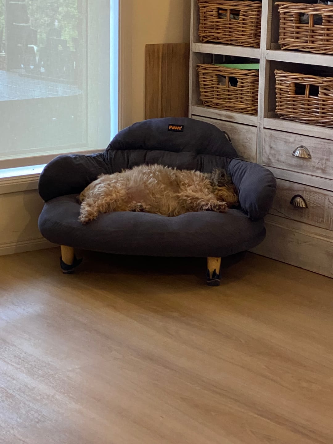 Customer photo review of CloudNest Elevated Pet Sofa Bed