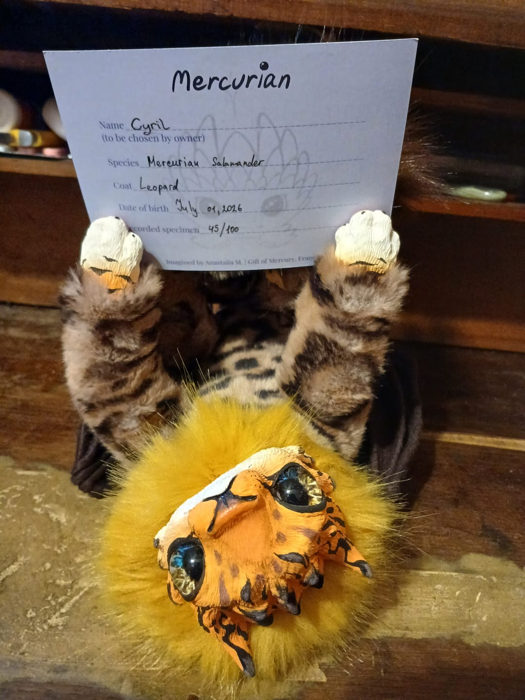 Customer photo review of Mercurian salamander