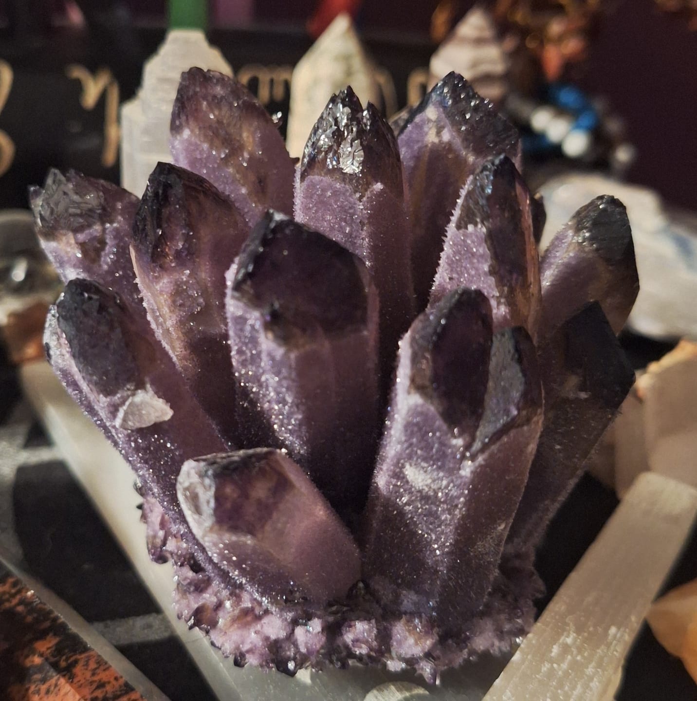 Customer photo review of Exotic Amethyst Phantom Cluster
