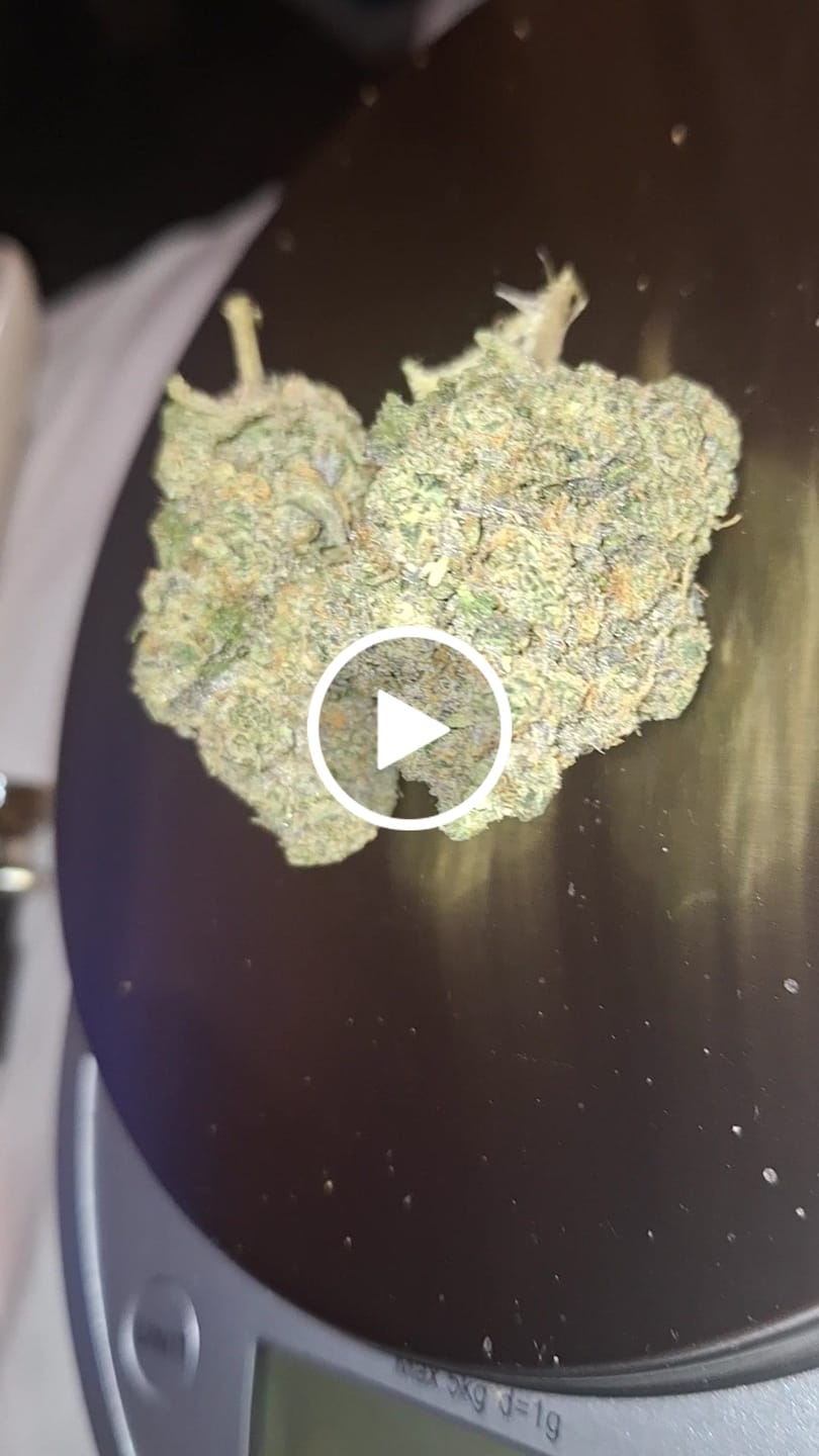 Customer video review of Biscotti THCA Flower (Premium)