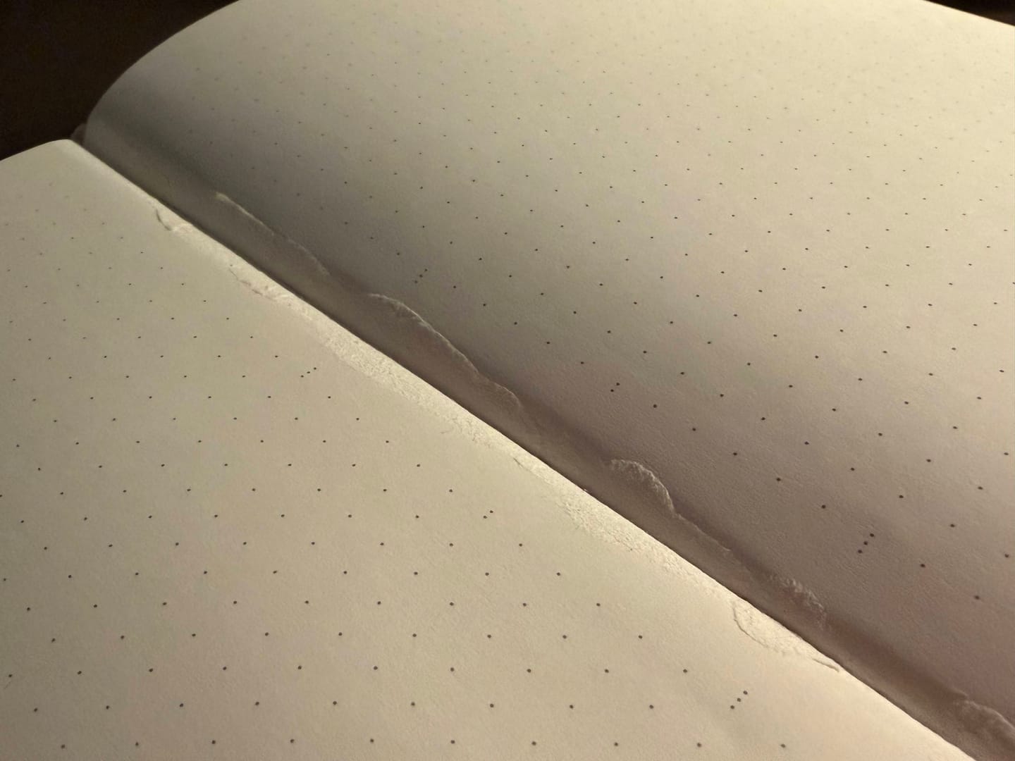 Customer photo review of The Notebook