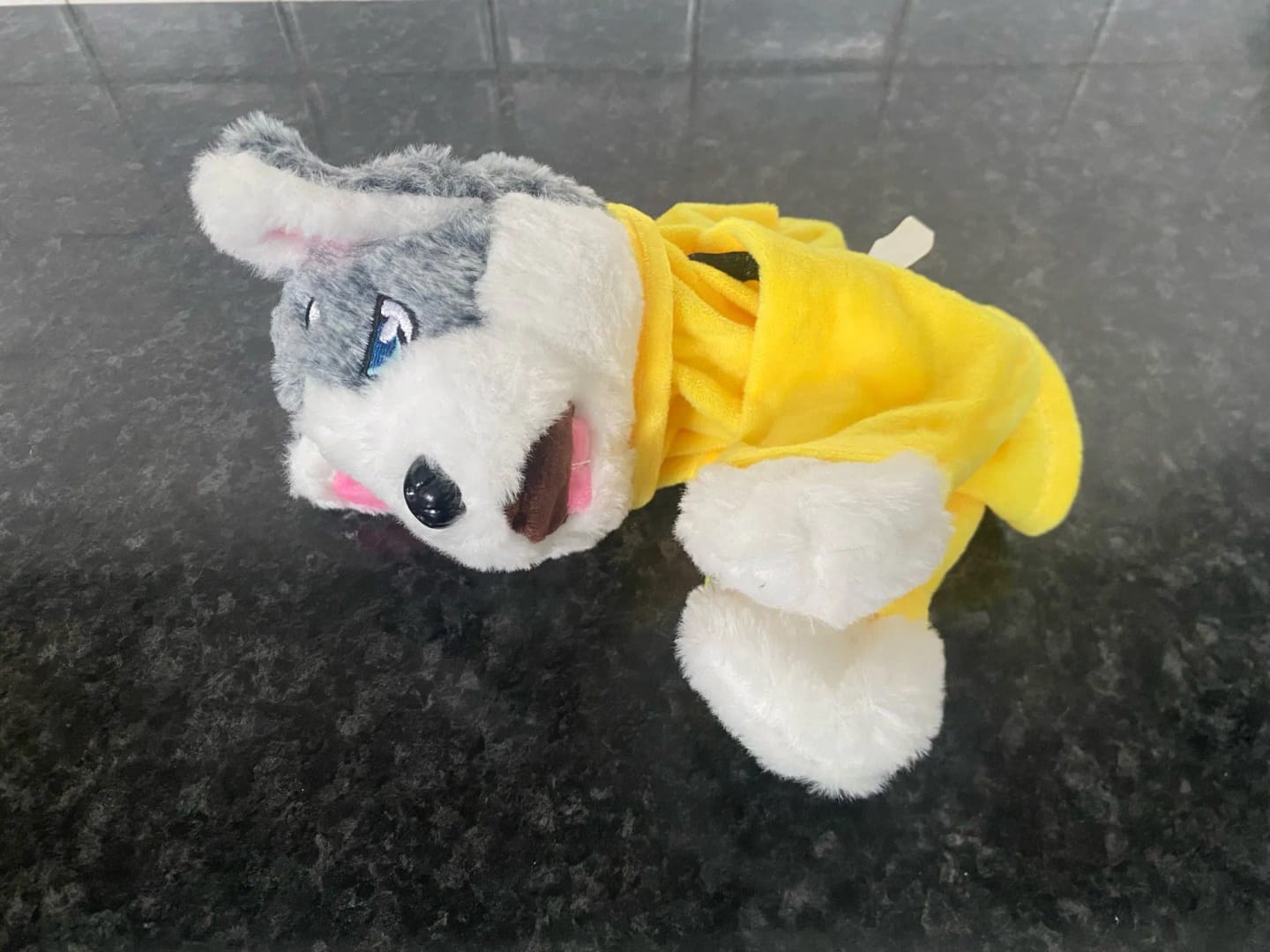 Customer photo review of Puppo Punch™ — The Boxing Husky That Fights Back