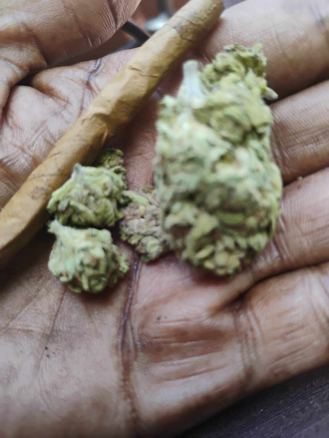Customer photo review of Hella Jelly - 28 Grams - Sativa