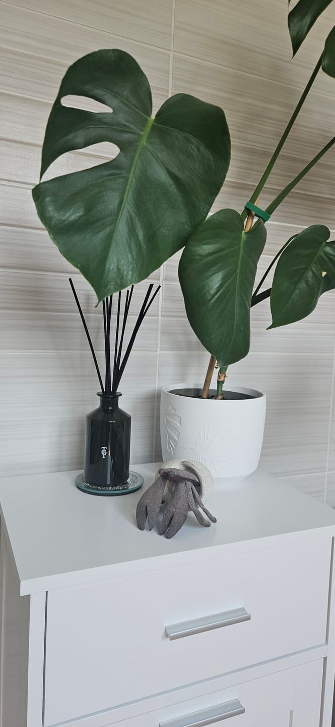 Customer photo review of Black Lily 200ml Room Diffuser