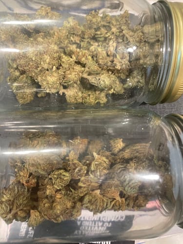Customer photo review of HALF BAK'D SUMO MANGO SOUR'D GUMMIES THCA/P/D8 10000MG 25CT/JAR