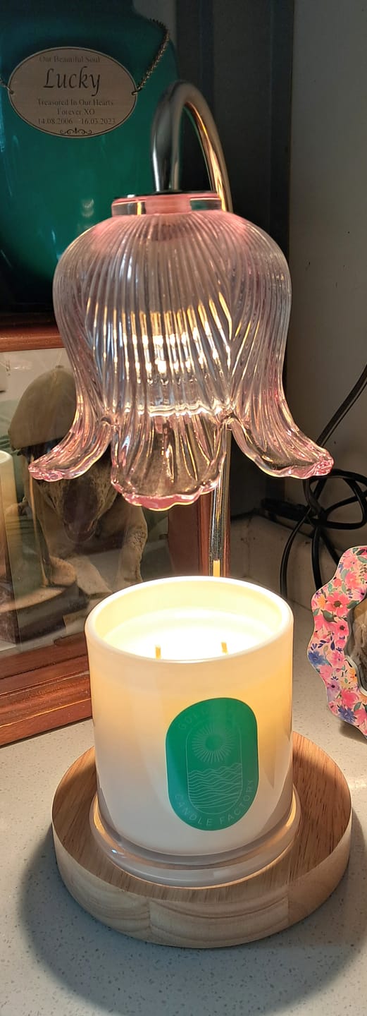 Customer photo review of Tropical Pineapple | 380g Pure Soy Candle - BEST SELLER 🔥