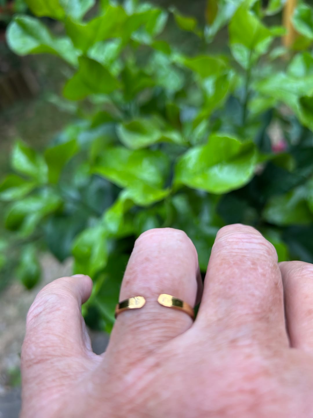 Customer photo review of Whisper verstellbarer Initialring