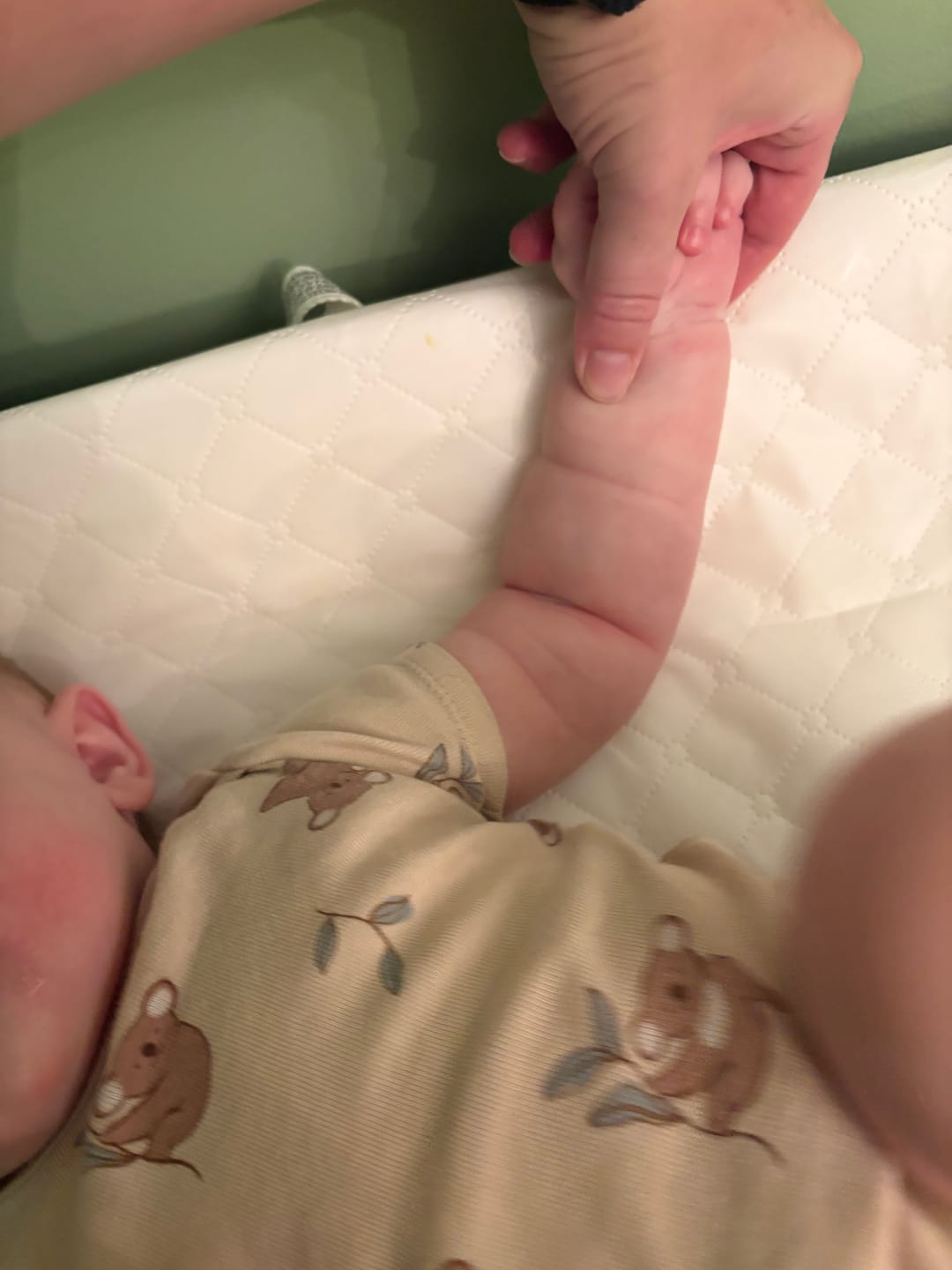 Customer photo review of Organic Whipped Tallow Face & Body Balm