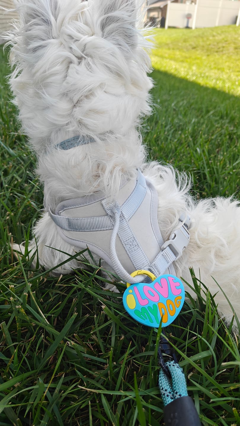 Customer photo review of I Love My Dog Jiby Charm