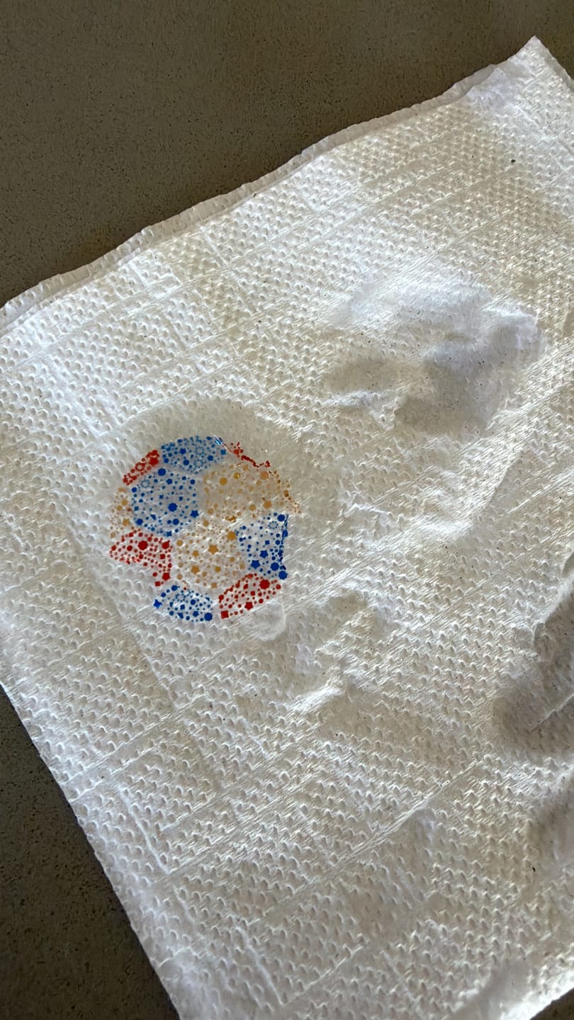 Customer photo review of Stickers Temporales para Apoyar la Tricolor - Nipskin®
