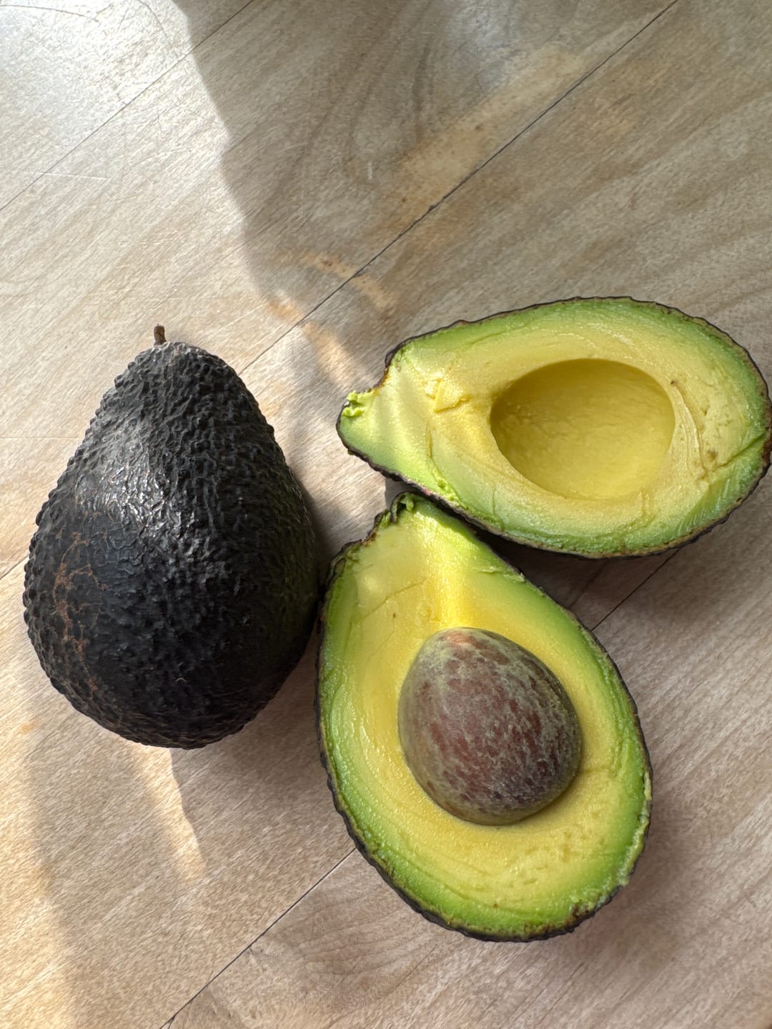 Customer photo review of Avocado Hass 15 Monate baumgereift von Julian
