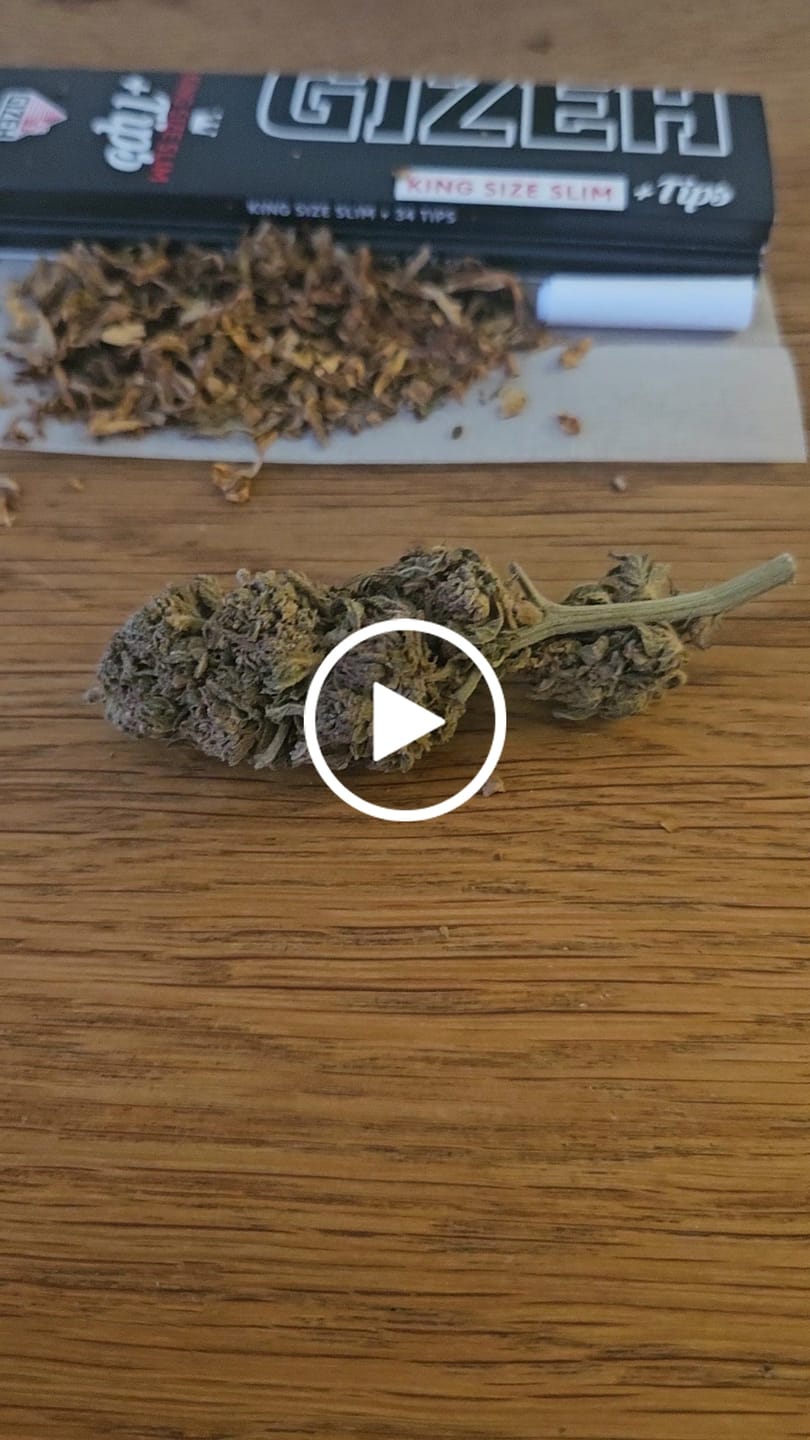 Customer video review of 👴🏼 Granddaddy Purple 45% Superior | Power Level 5/5