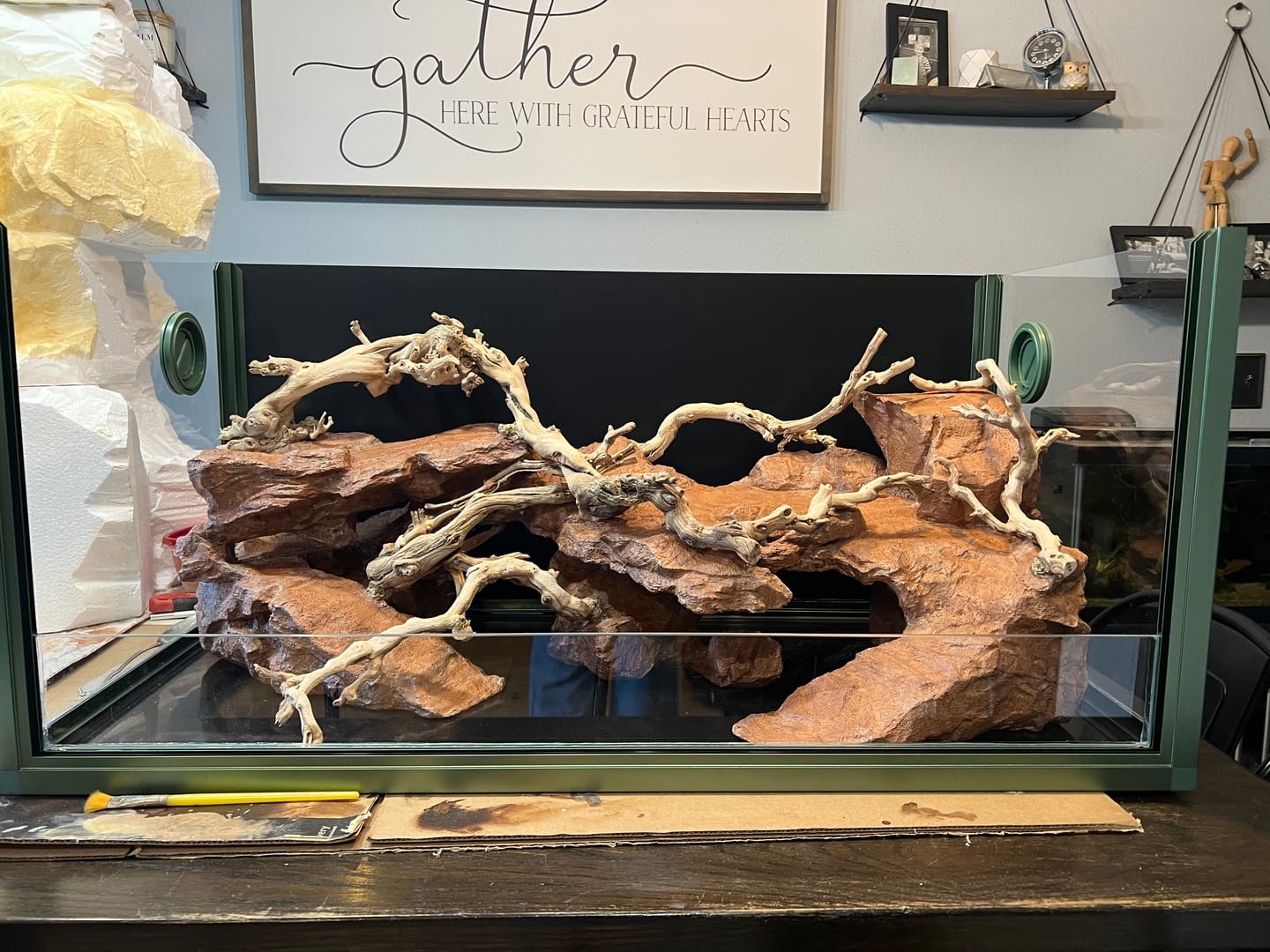 Customer photo review of 50 Gallon Geckos Tanks 36x18x18