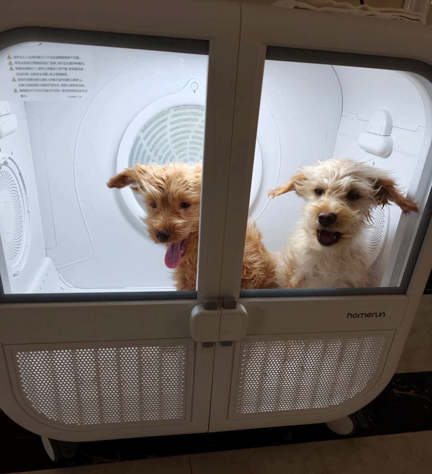 Customer photo review of homerunPET 「Drybo Ultra」ペットドライヤーハウス（7月下旬発送）