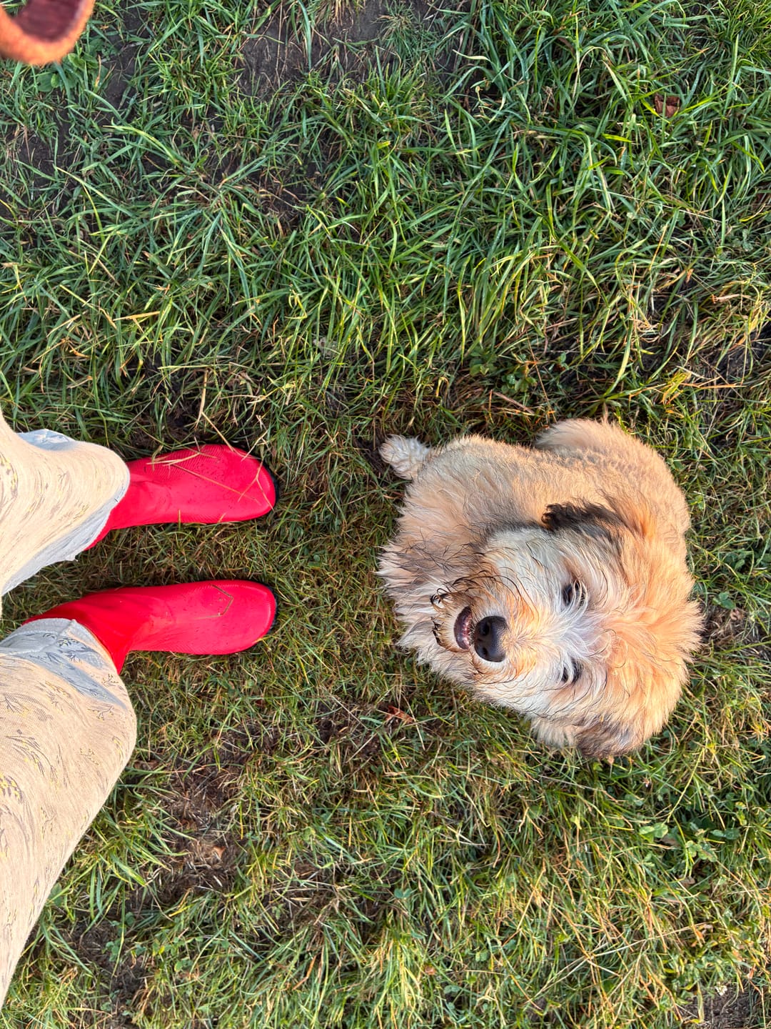 Customer photo review of Brisk Ⅰ - Barfuß-Gummistiefel