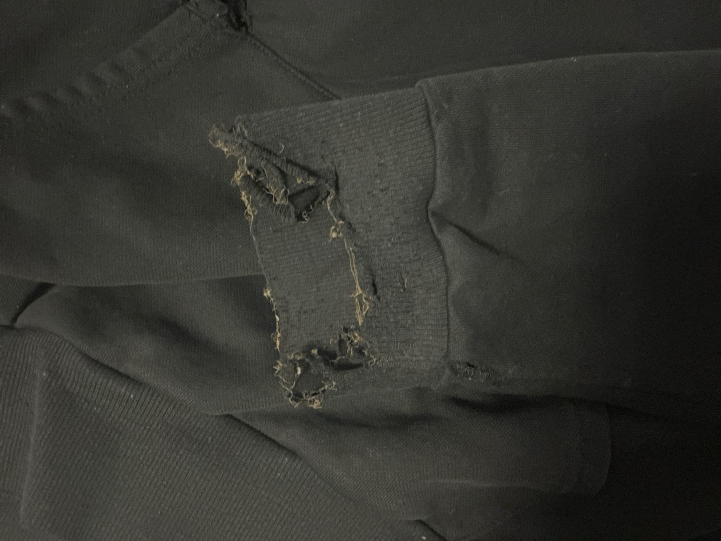 Customer photo review of Callback Ping Cyn Hoodie