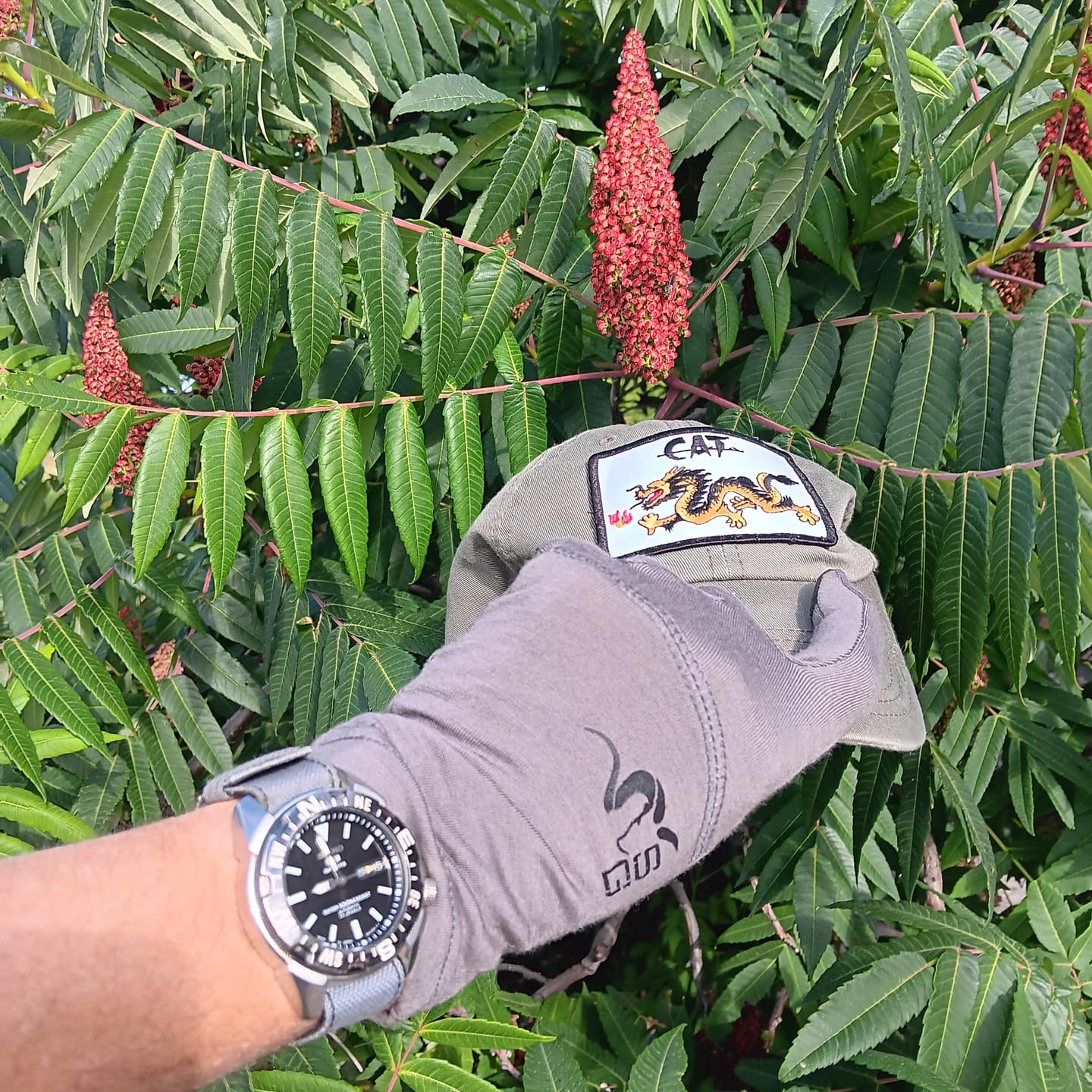 Customer photo review of CAT Strap - NEW - Premium Cotton Nylon Blend