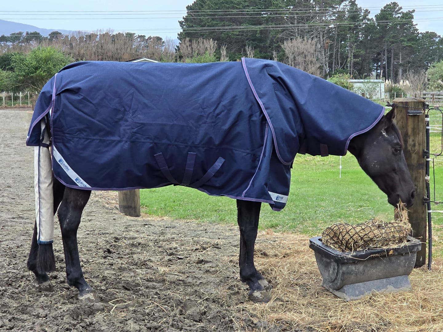 Customer photo review of LE Boxter Turnout Ripstop 200g