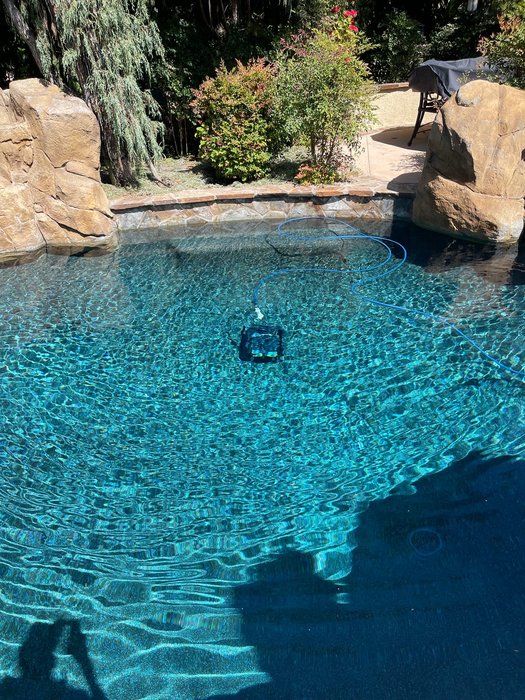 Customer photo review of Dolphin Active 60  Robotic Pool Cleaner Maytronics
