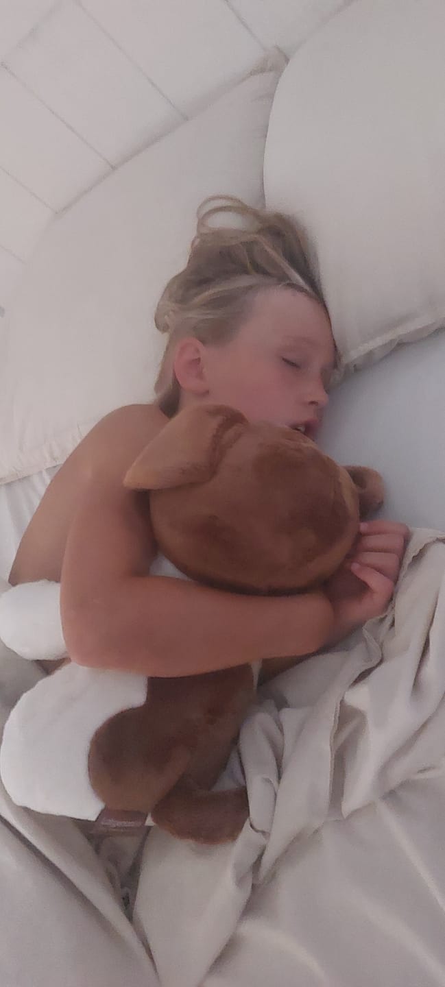 Customer photo review of Lotgenootje Hond 2kg