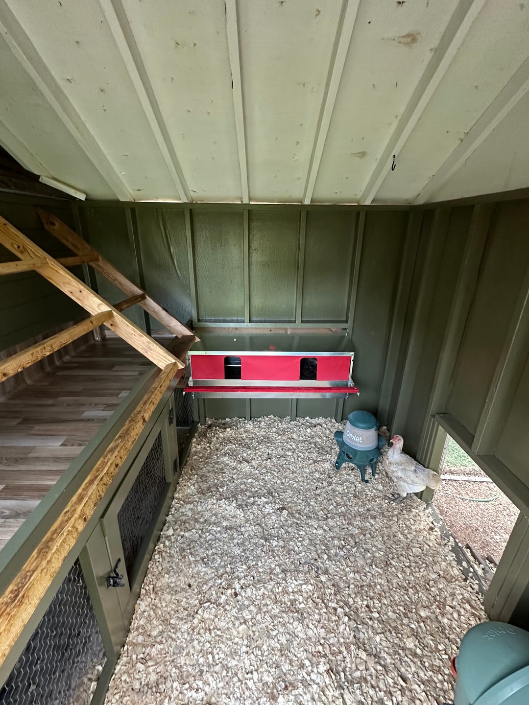 Customer photo review of Large (48") Reversible Roll-out Nest Box (Up to 50 Hens)