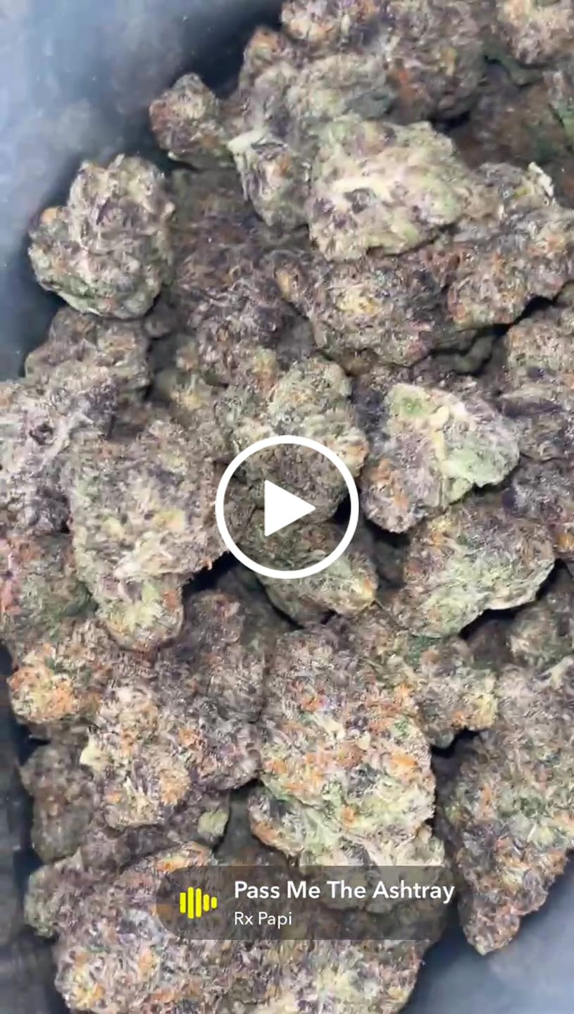 Customer video review of Boutique Exotics  Lemon Dior - Bulk - Hybrid