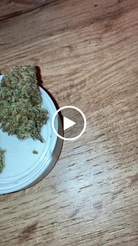 Customer video review of Do-Si-Dos x Gelato 30% THCA