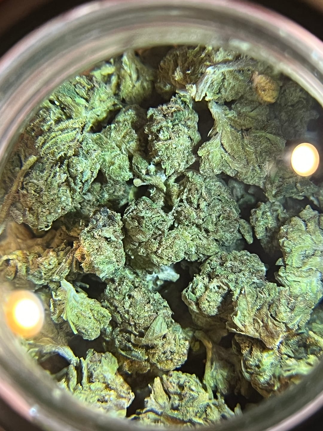 Customer photo review of Candy Cartel Light Assist THCA