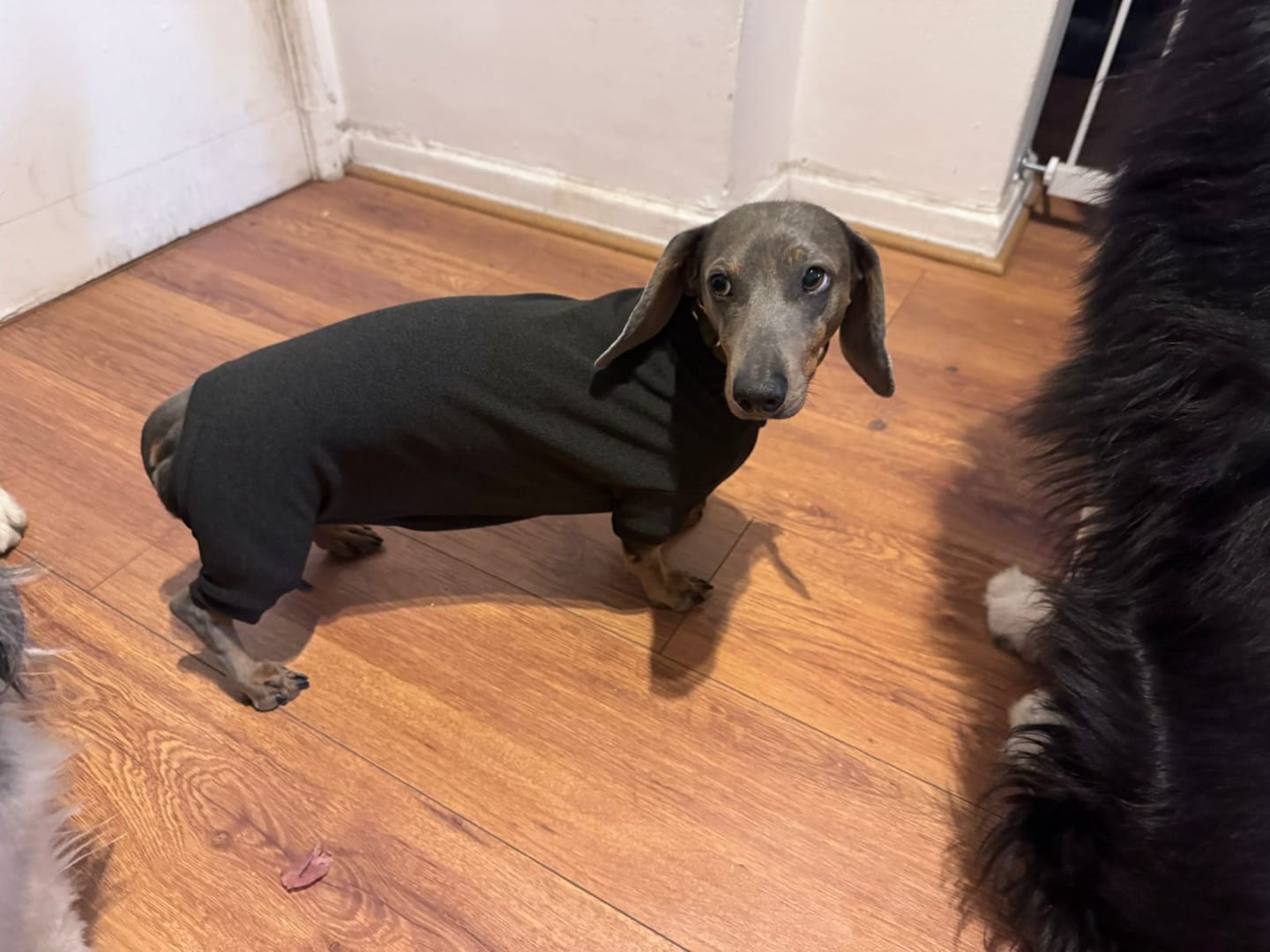 Customer photo review of Polera Térmica Power Stretch™