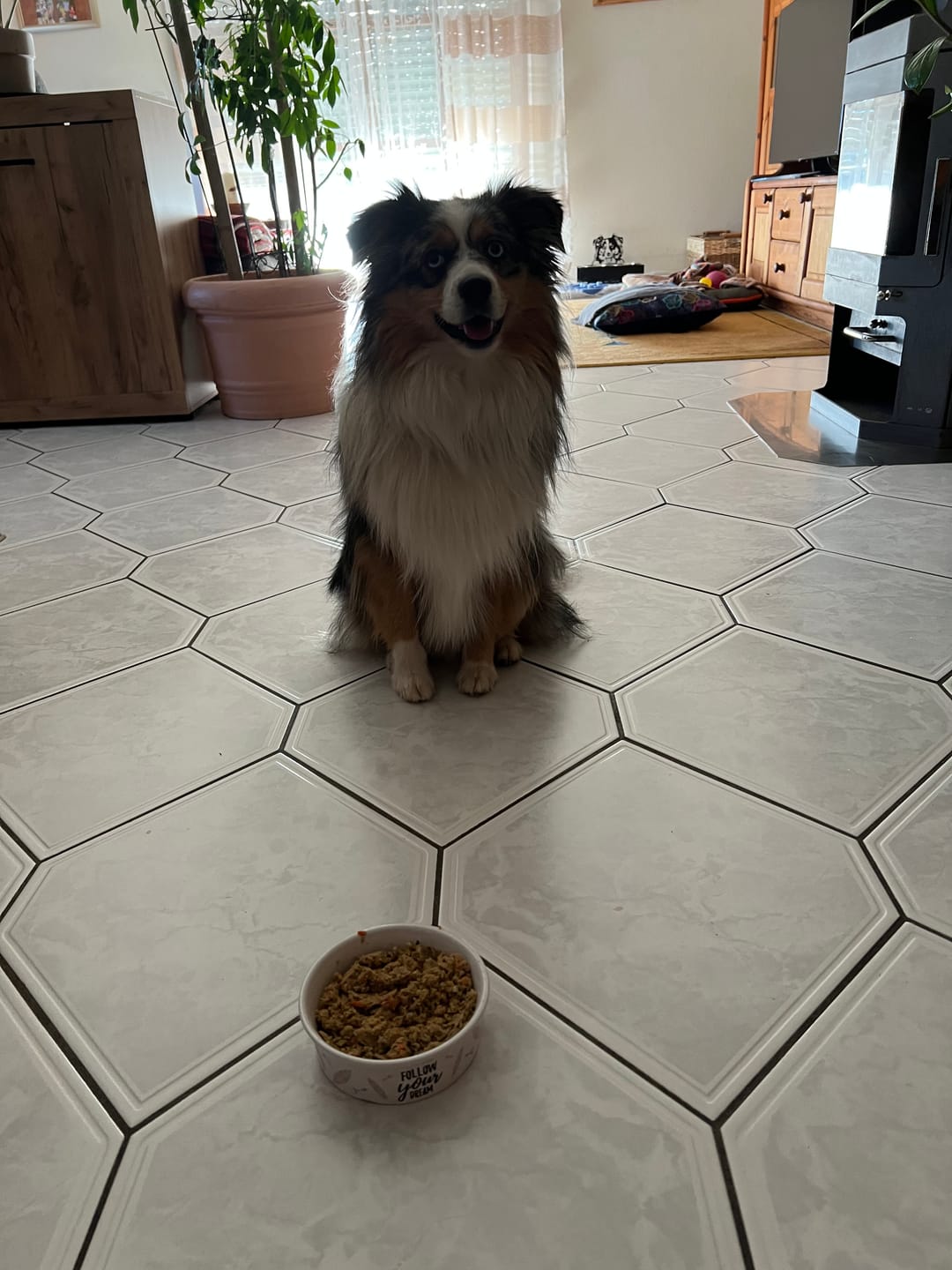 Customer photo review of Frischfutter für Energiebedarf von 376 kCal/Tag