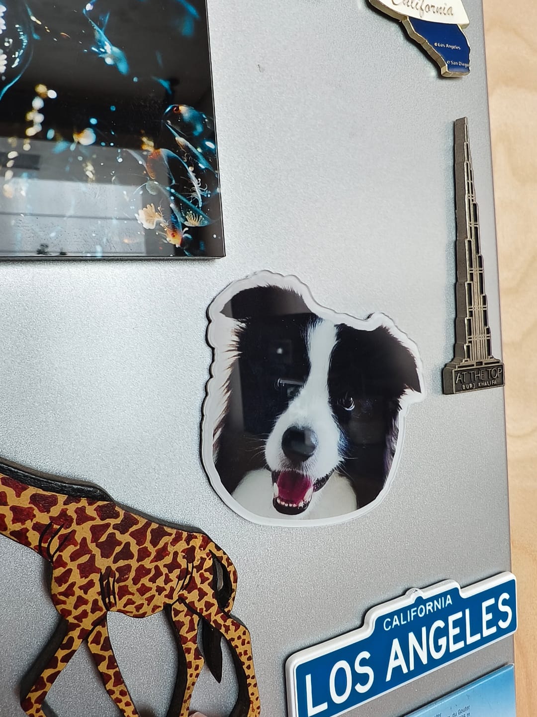 Customer photo review of Custom Pet Portrait Magnet