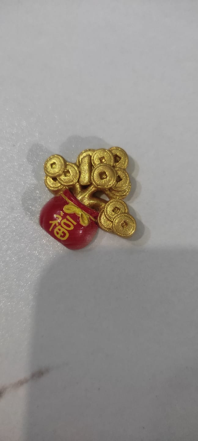 Customer photo review of Fengshui Lucky Turtle  Pendant Wallet Charm Money-biting Turtle Ornaments Decor for Longevity Protection & Financial Stability Alloy