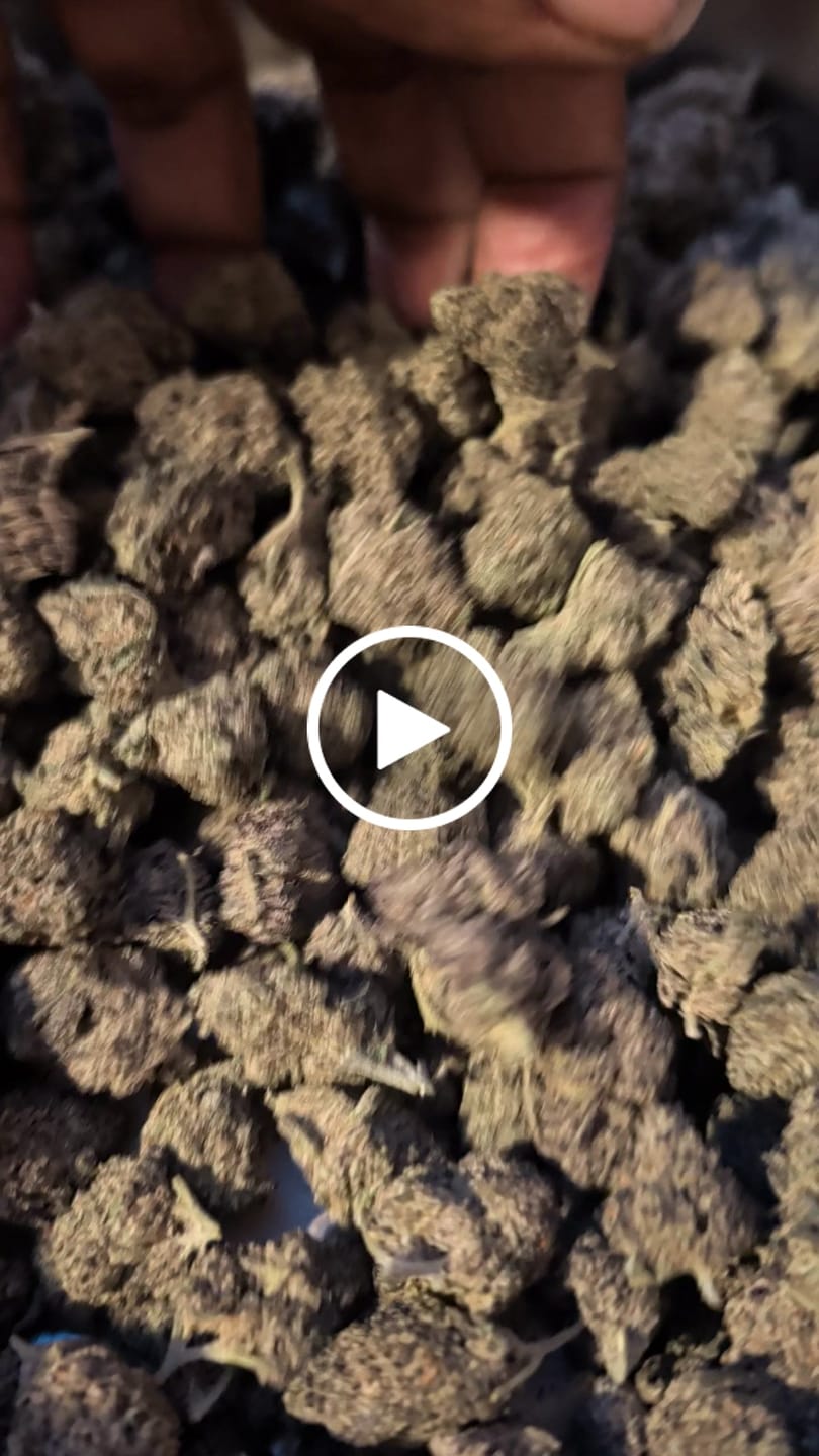 Customer video review of Icy Pop - Bulk - Hybrid