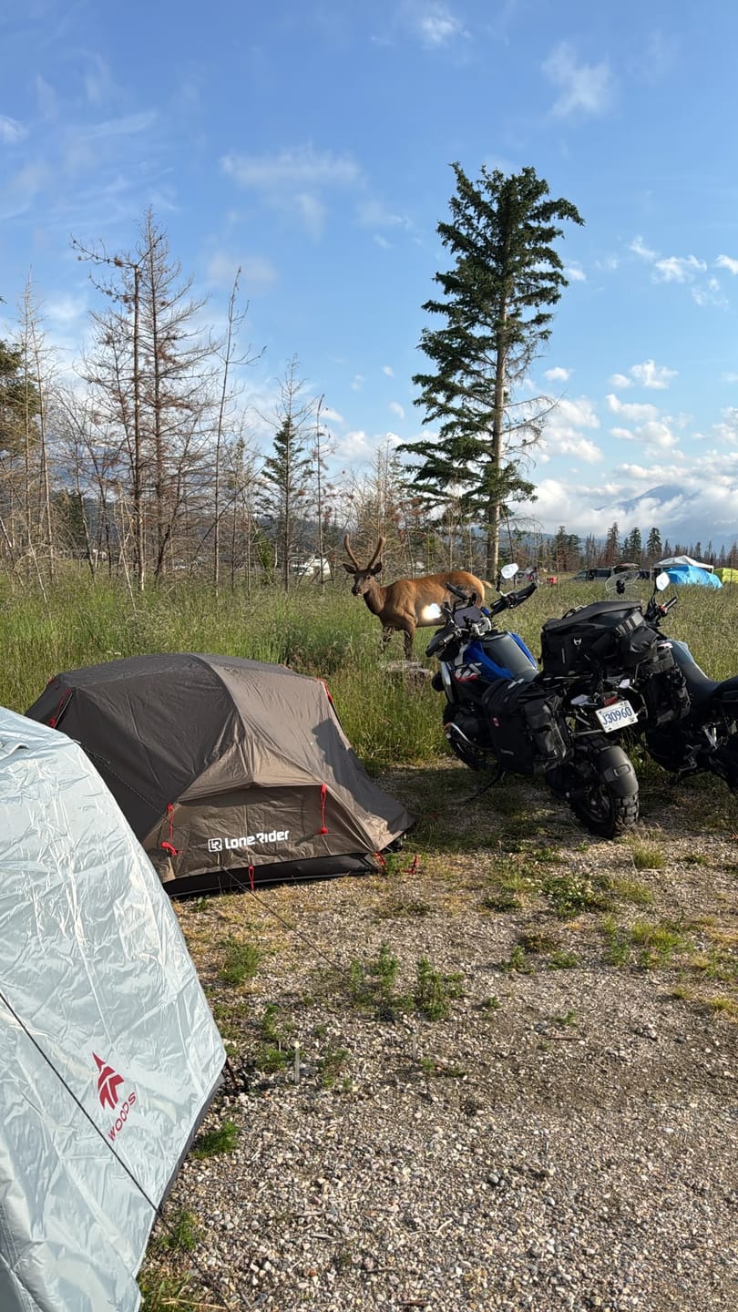 Customer photo review of ADVTent - Adventure Motorcycle Tent