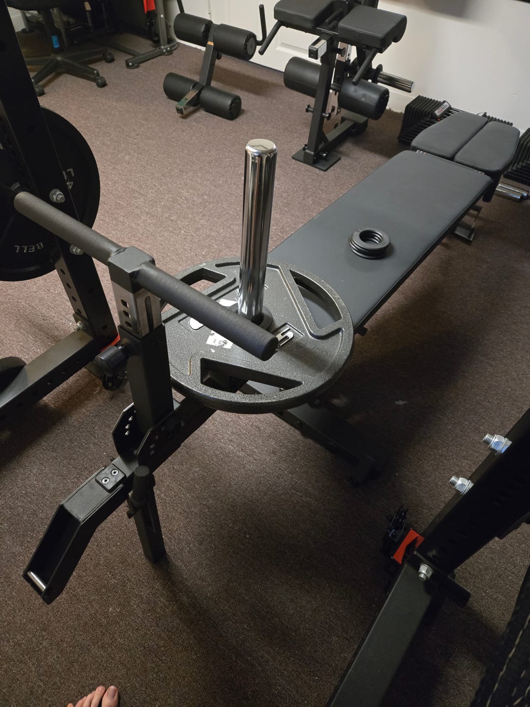 Customer photo review of APEX BARRETT BELT SQUAT