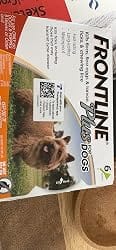 Customer photo review of Frontline Plus for Small Dogs 5 to 22 lbs – 6 Month Flea and Tick Treatment
