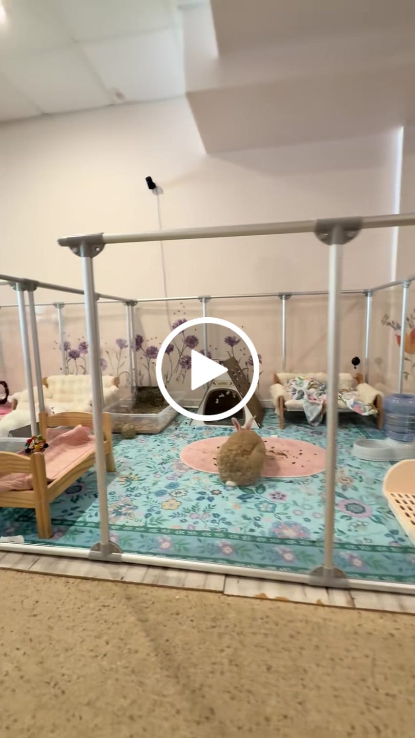 Customer video review of 36" Tall Large Lucidium Pet Pen