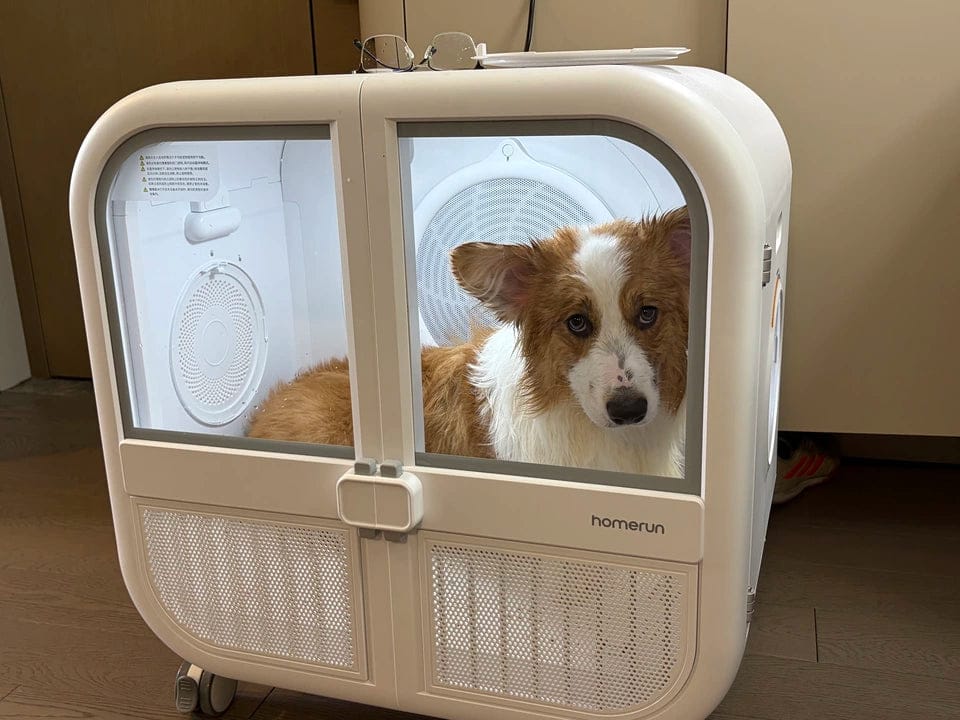Customer photo review of homerunPET 「Drybo Ultra」ペットドライヤーハウス（7月下旬発送）