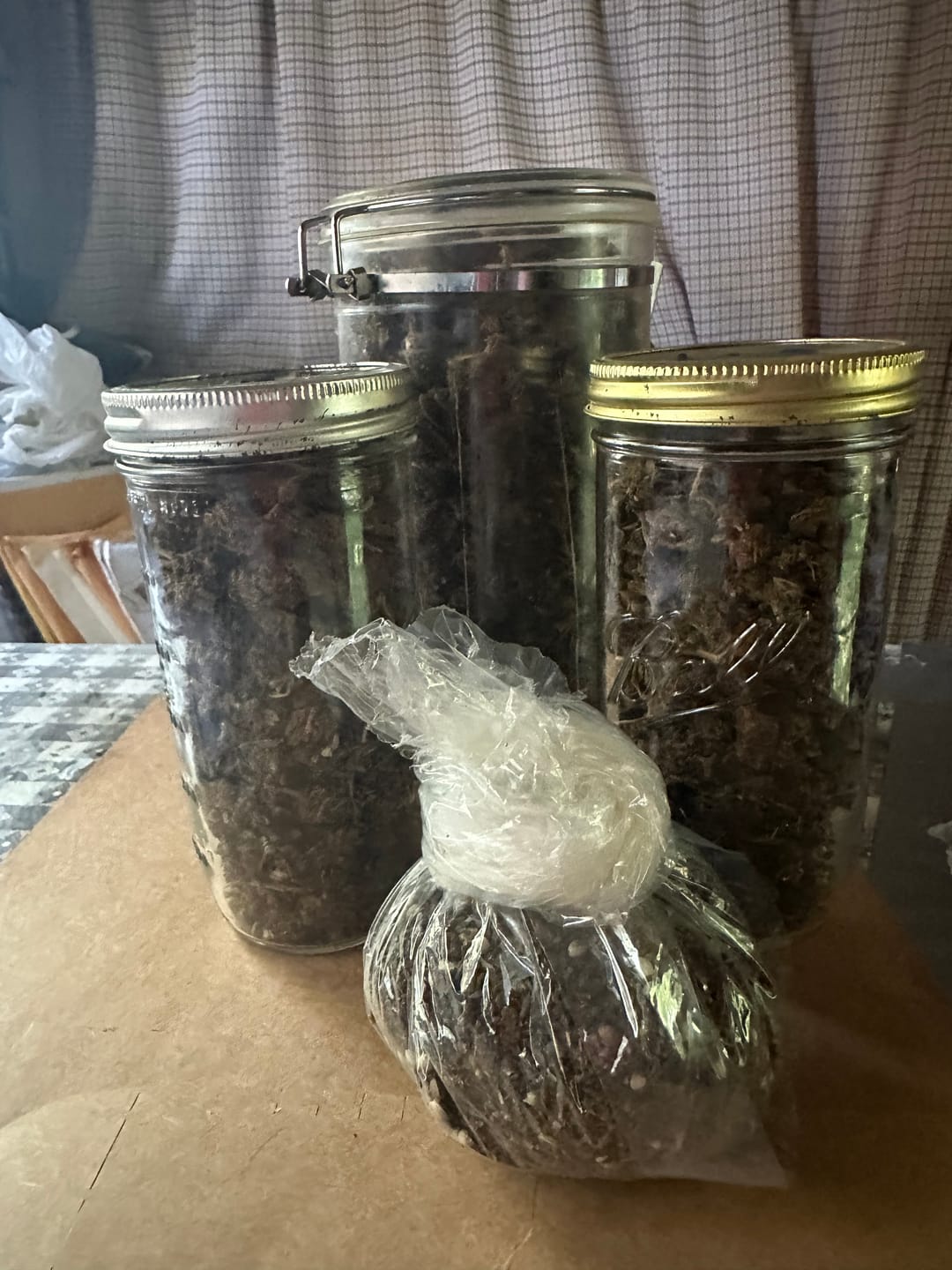 Customer photo review of Acapulco Gold - Bulk - Sativa