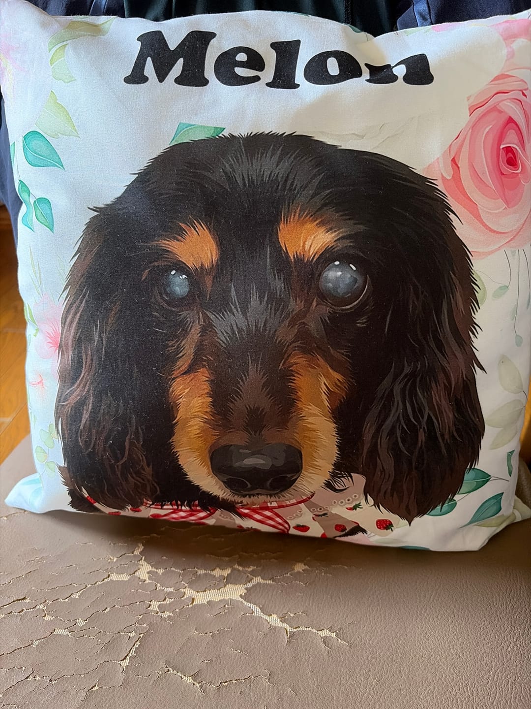 Customer photo review of Petcanva® 品質補償サービス