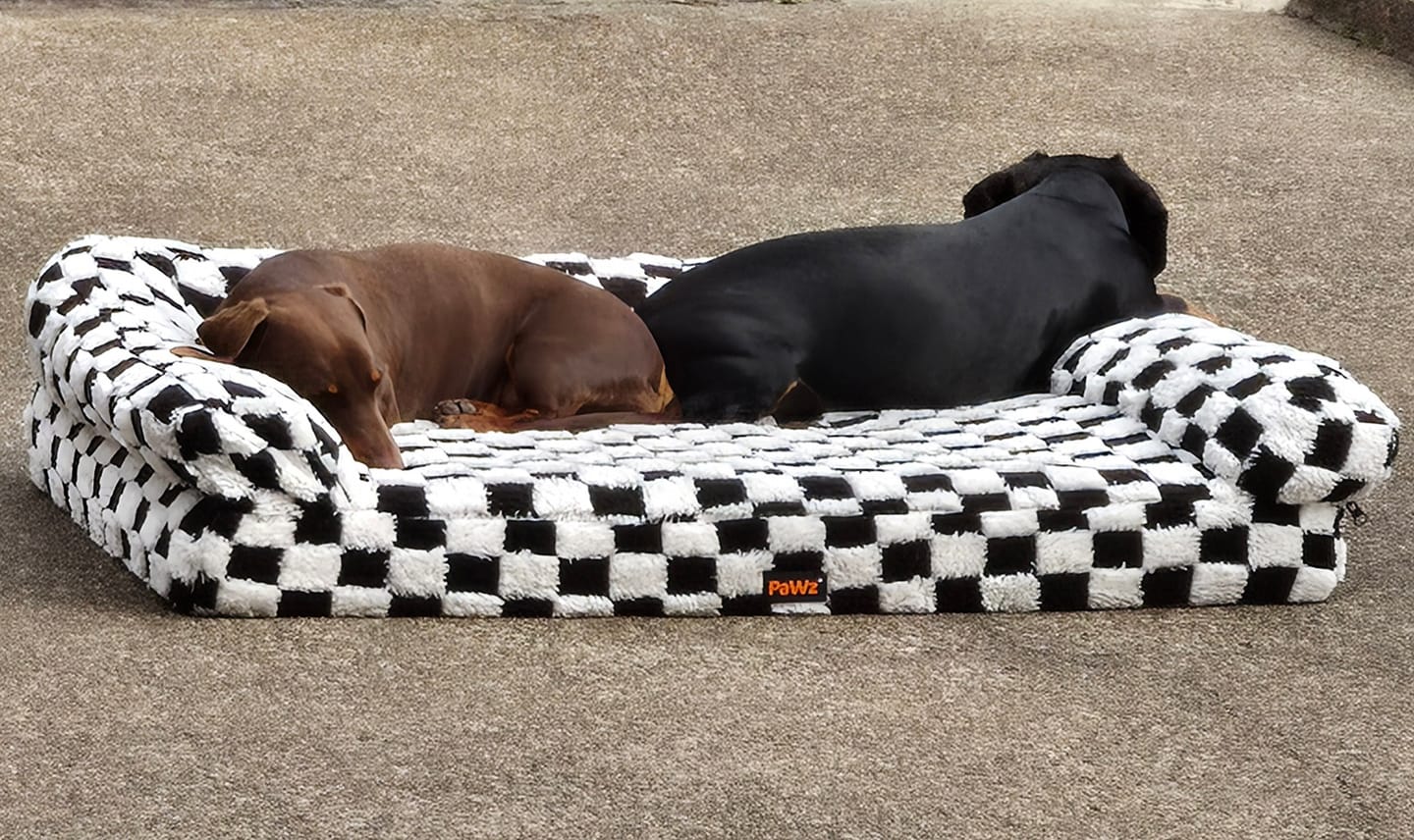 Customer photo review of Orthopedic Dog Bed Pet Mat Calming Checkered Plush Sofa Washable