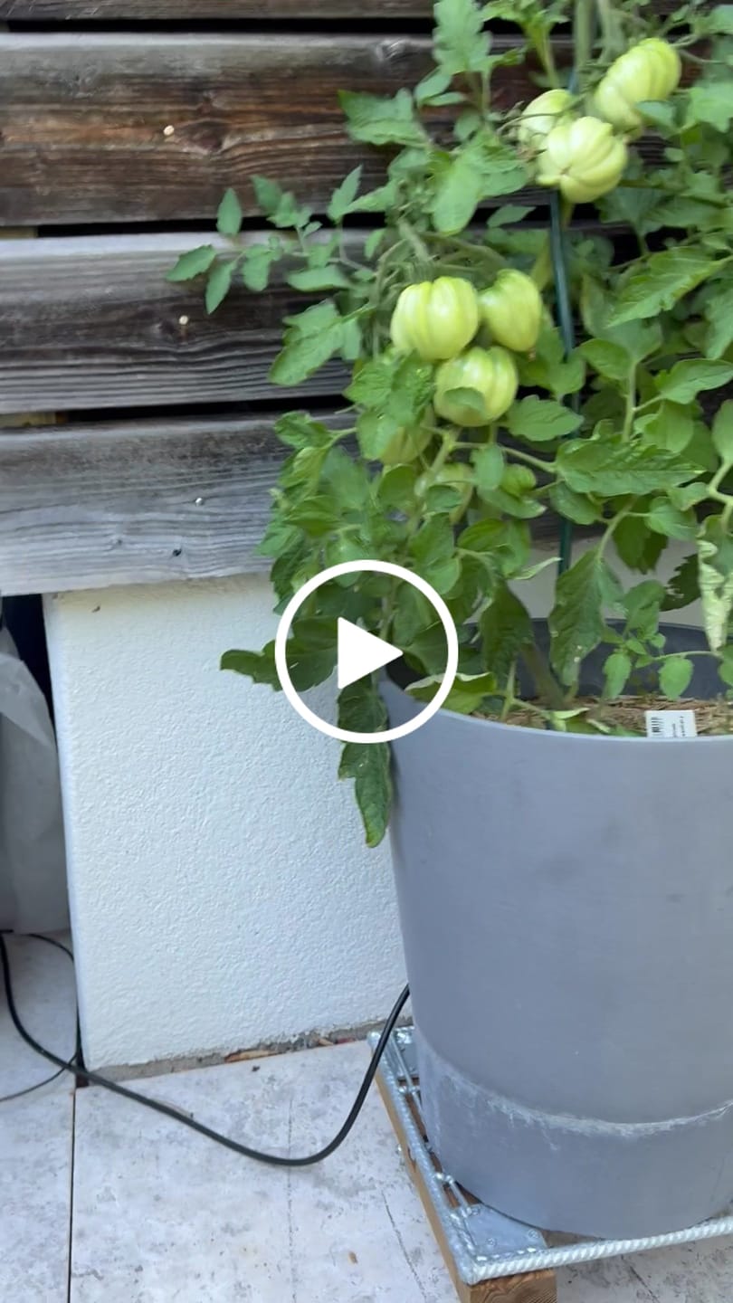 Customer video review of Boum Pflanzenerde 15 L inkl. Mulch