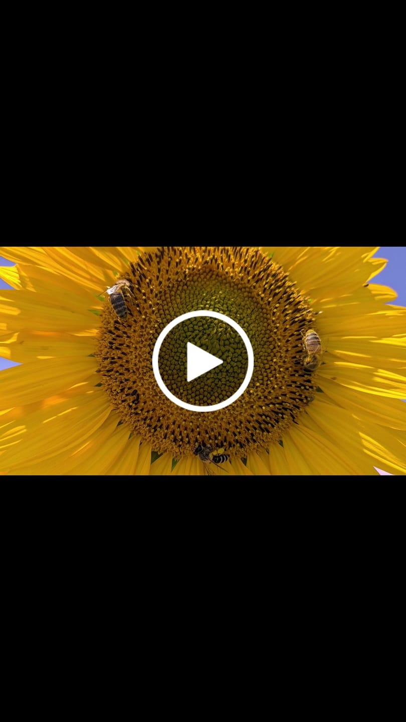 Customer video review of Good Night - 3 mois