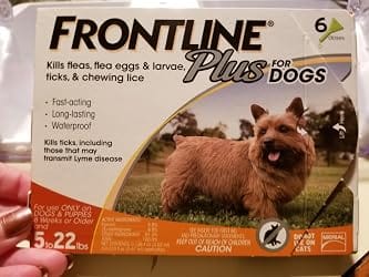Customer photo review of Frontline Plus for Small Dogs 5 to 22 lbs – 6 Month Flea and Tick Treatment