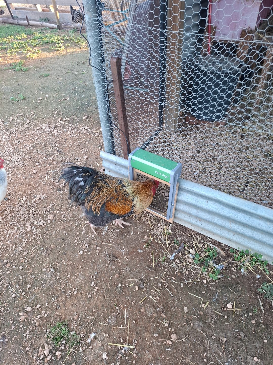 Customer photo review of Pets Gear Automatic Chicken Coop Door Solar Powered