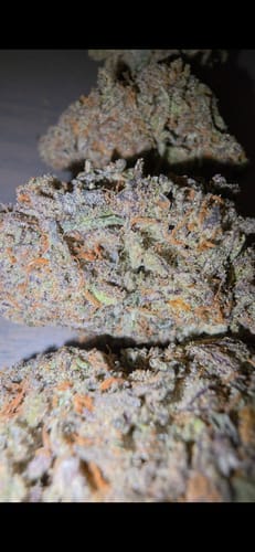 Customer photo review of Cheap Indoor THCA Flower Ounce