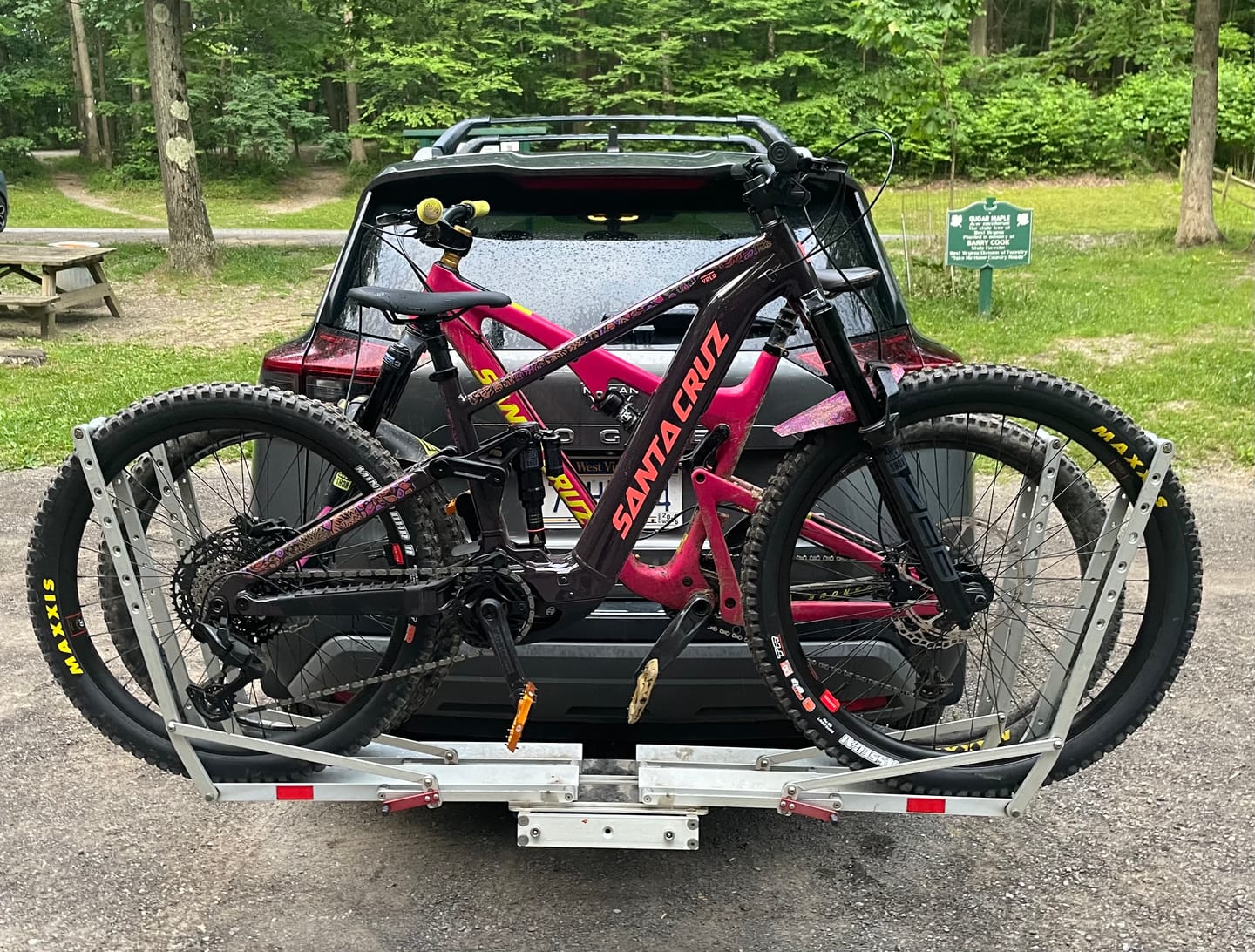 Customer photo review of Jungle Gems Frame Keeper