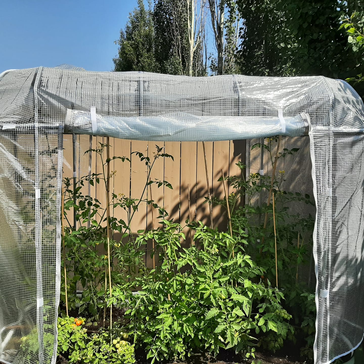 Customer photo review of Garden Cover System