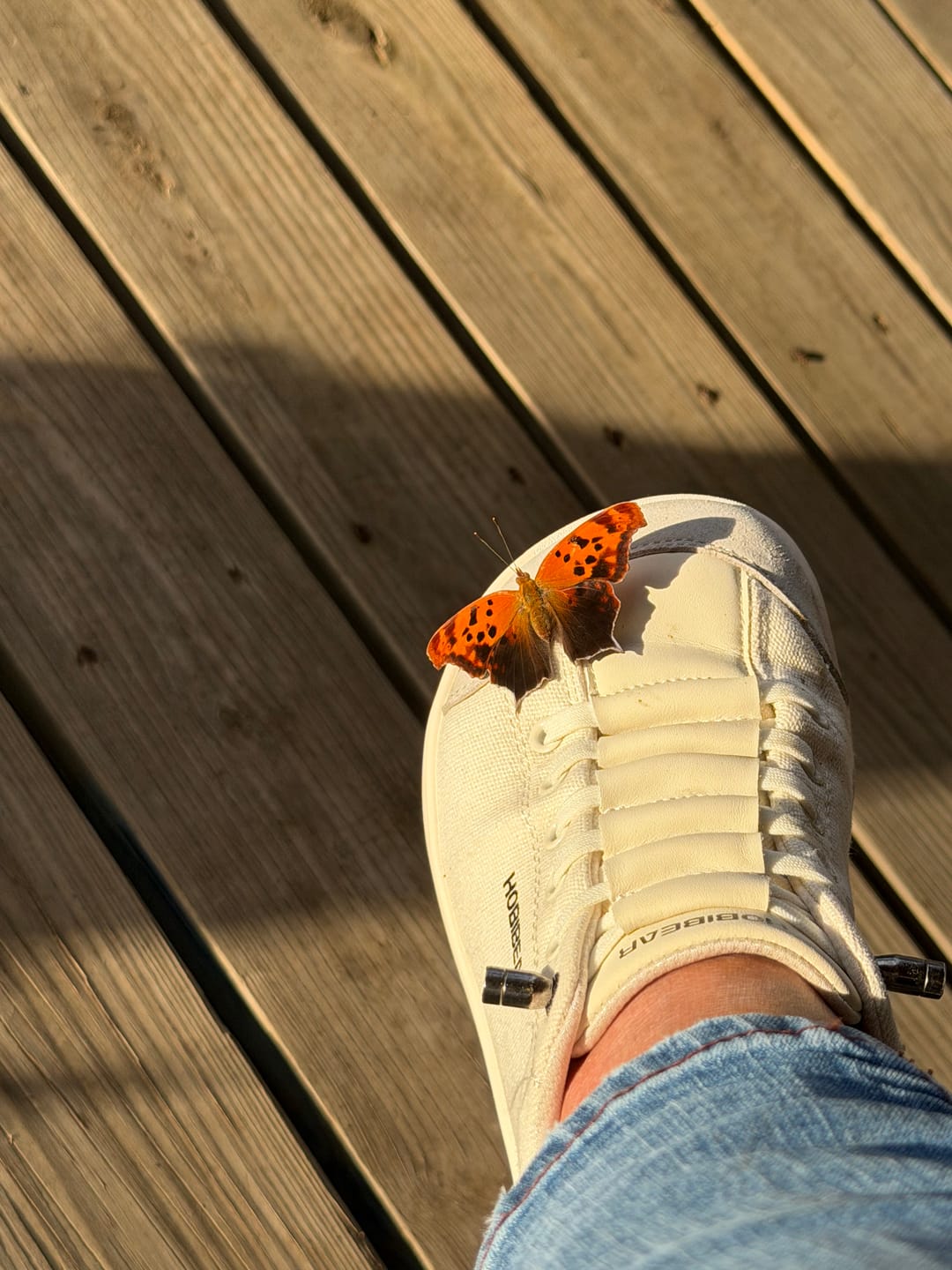 Customer photo review of Sorrel - Barefoot Shoes